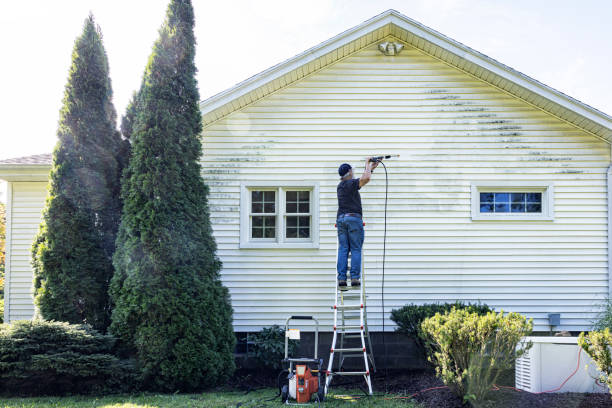 Reliable Palos Hills, IL Pressure Washing Solutions